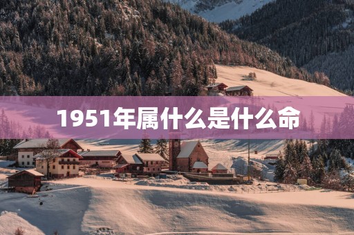 1951年属什么是什么命