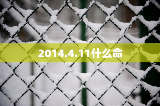 2014.4.11什么命