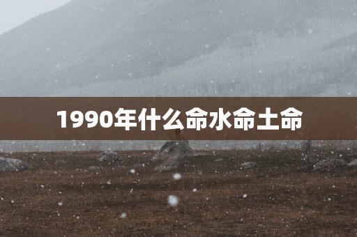 1990年什么命水命土命