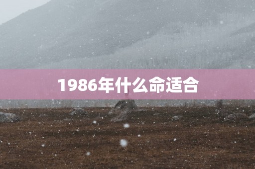 1986年什么命适合