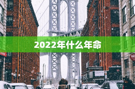 2025年什么年命