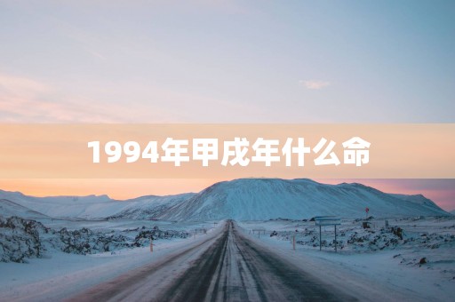 1994年甲戌年什么命