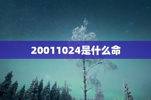 20011024是什么命