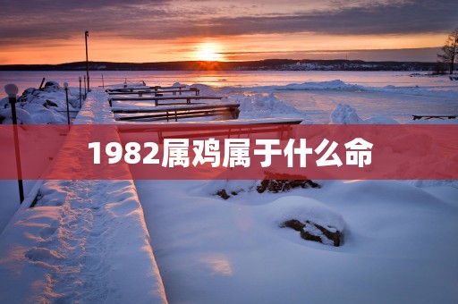 1982属鸡属于什么命