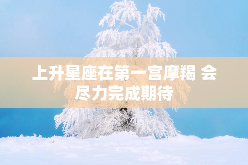上升星座在第一宫摩羯 会尽力完成期待