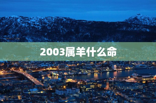 2003属羊什么命