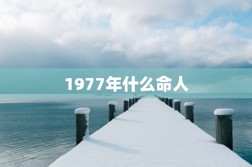 1977年什么命人