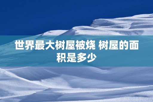 世界最大树屋被烧 树屋的面积是多少