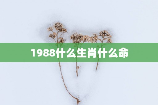 1988什么生肖什么命