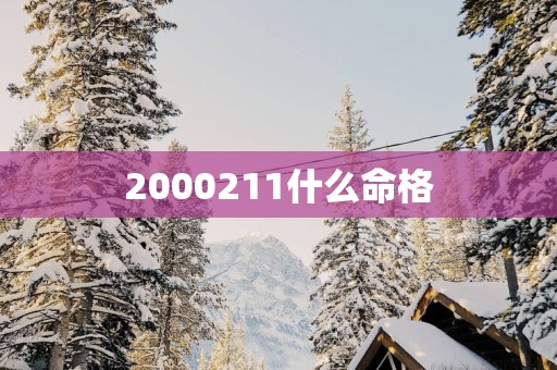 2000211什么命格