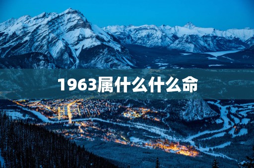 1963属什么什么命