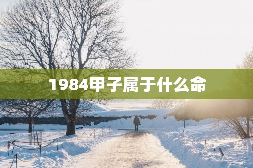 1984甲子属于什么命