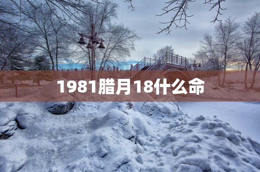 1981腊月18什么命