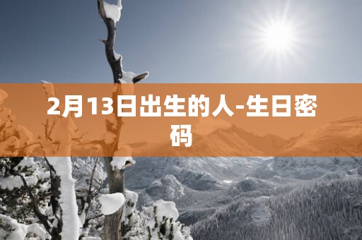 2月13日出生的人-生日密码