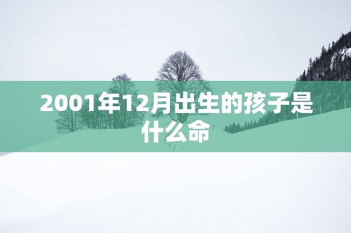 2001年12月出生的孩子是什么命