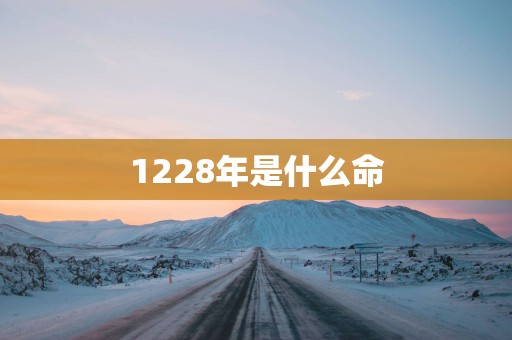 1228年是什么命