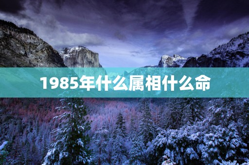 1985年什么属相什么命
