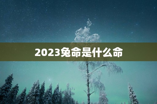 2025兔命是什么命