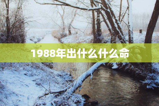 1988年出什么什么命 1988年出什么什么命