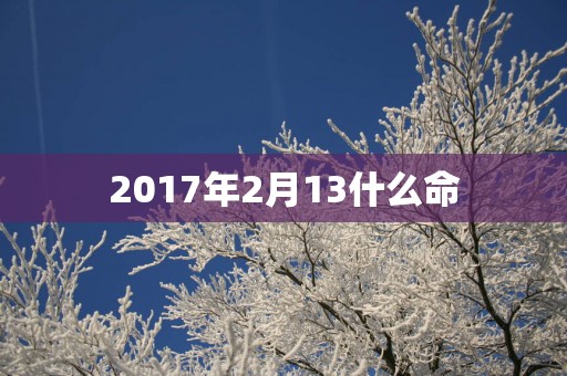 2017年2月13什么命
