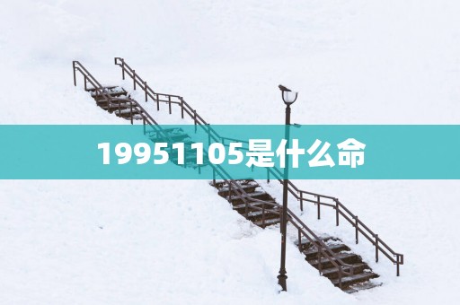 19951105是什么命