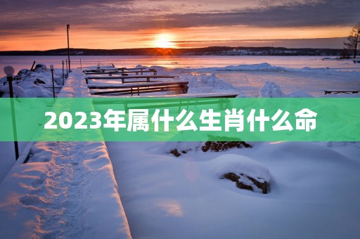 2025年属什么生肖什么命