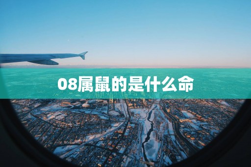08属鼠的是什么命