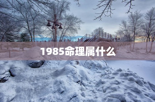 1985命理属什么
