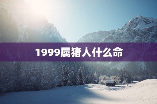 1999属猪人什么命