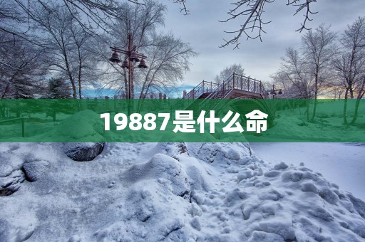 19887是什么命