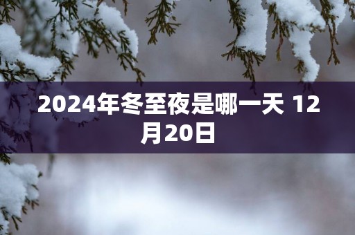 2025年冬至夜是哪一天 12月20日