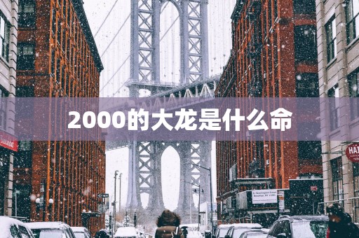 2000的大龙是什么命