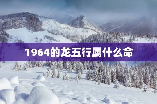 1964的龙五行属什么命