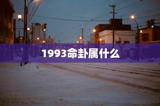 1993命卦属什么