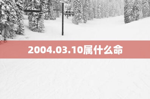 2004.03.10属什么命