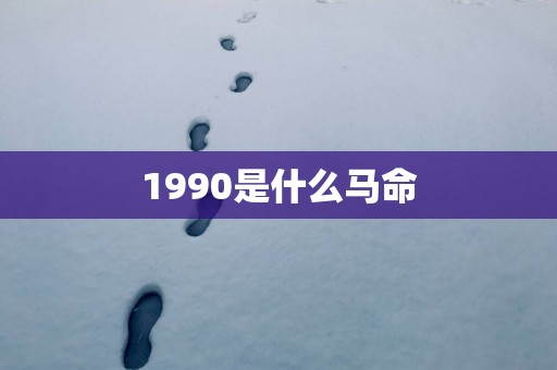 1990是什么马命