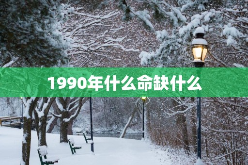 1990年什么命缺什么