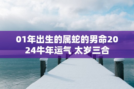 01年出生的属蛇的男命2025蛇年运气 太岁三合