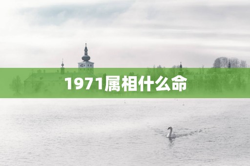 1971属相什么命