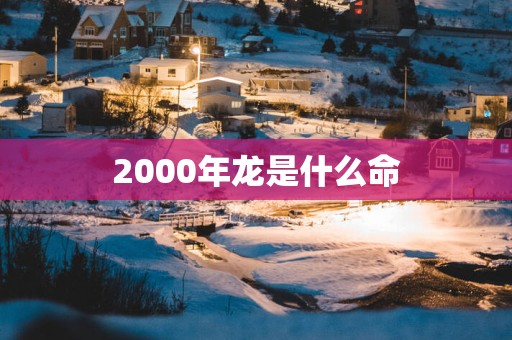 2000年龙是什么命