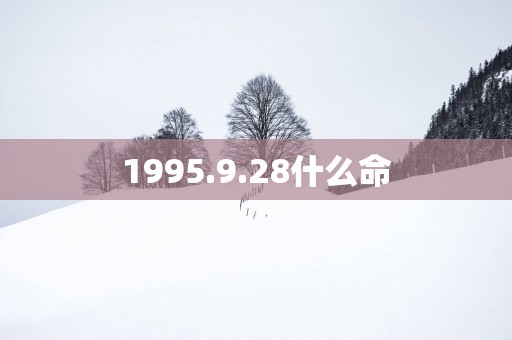1995.9.28什么命