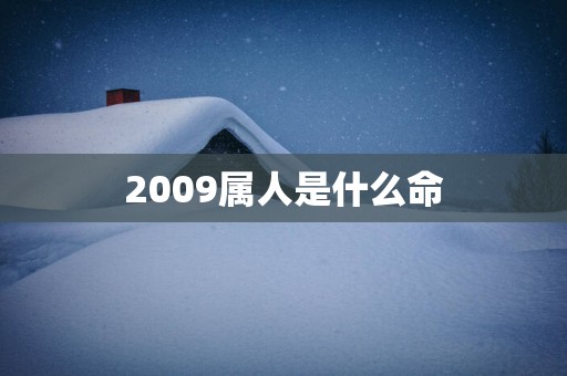 2009属人是什么命