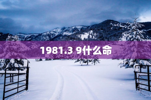 1981.3 9什么命 1981.3 9什么命