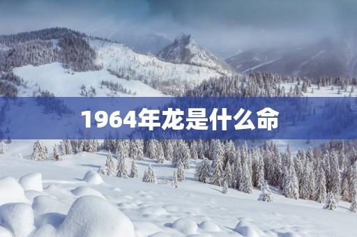1964年龙是什么命