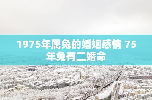 1975年属兔的婚姻感情 75年兔有二婚命