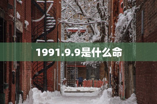 1991.9.9是什么命
