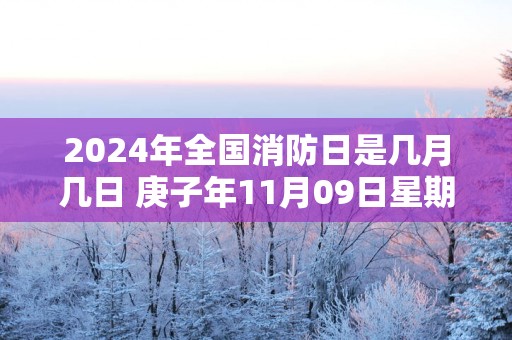 2025年全国消防日是几月几日 庚子年11月09日星期一