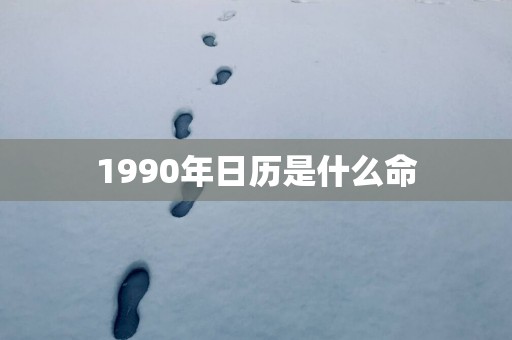 1990年日历是什么命