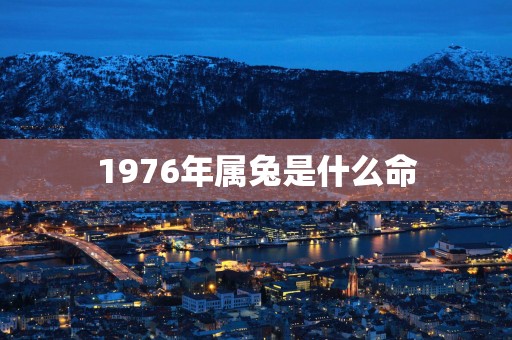 1976年属兔是什么命