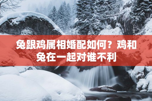 兔跟鸡属相婚配如何？鸡和兔在一起对谁不利
